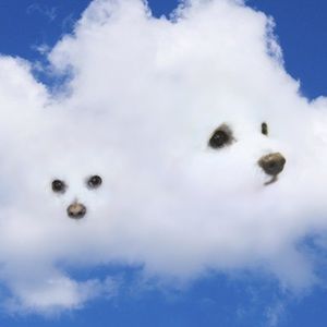 Meet your Posher, Serena